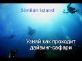 Дайв сафари на Симиланских островах. Дайвинг на Симиланах это изюминка Андаманского моря.