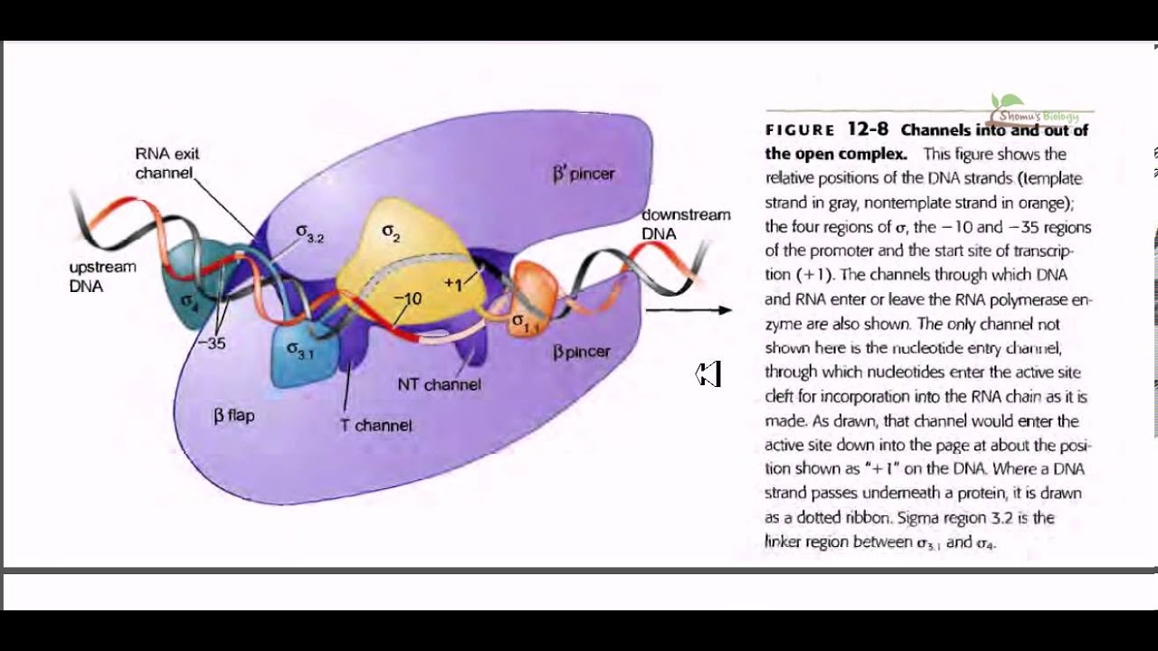 download theorie der