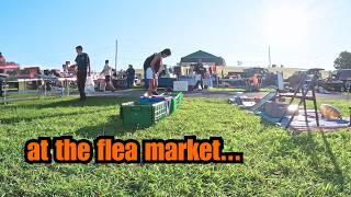 Early Morning Flea Market Life ~ Buy & Sell!