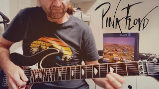 Pink Floyd "On the turning away" solo cover.