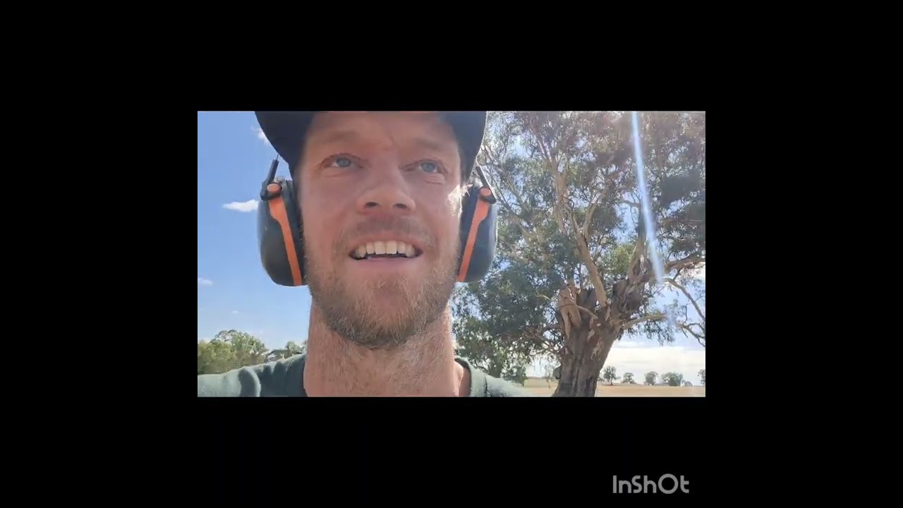 NEW SCOPE - zero tech 1-10x24 illuminated - weatherby vanguard 270win - Winchester 9422 open sight. 