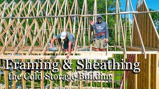 Framing & Sheathing the Cold Storage Building