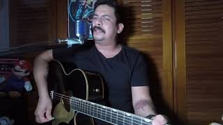 Chris Cornell - Like A Stone Acoustic Cover