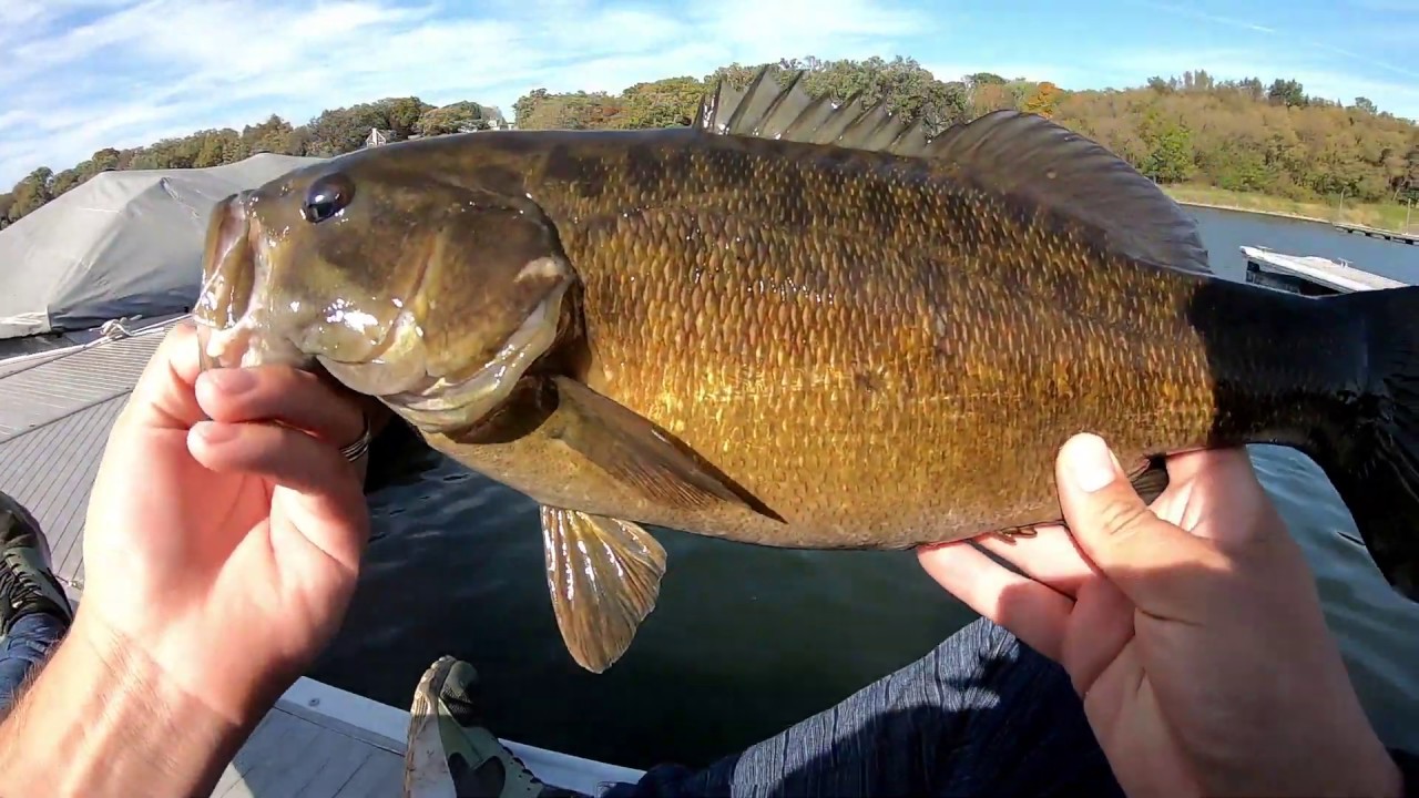 Fish After Fish,Cast After Cast!! - YouTube