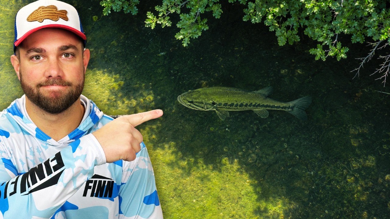 SUMMER Bass Fishing (Bite Windows & Shade Lines)
