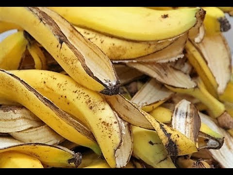 فيديو: خارقة الحياة مع قشر الموز للمنزل والجمال