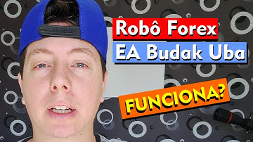 Does the EA Slave Forex Robot work? Configure My BackTest