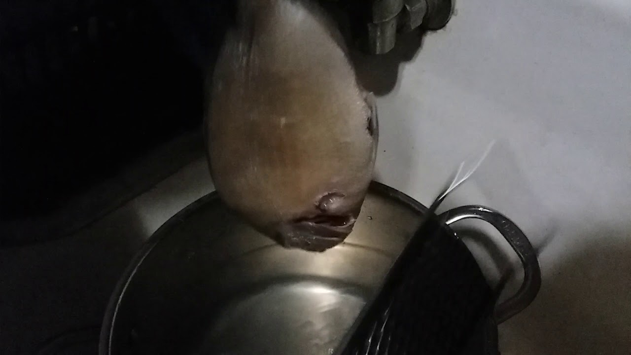 How to scale fish with a cheese grater