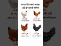 भारत की सबसे ज्यादा अंडा देने वाली मुर्गियां | #shorts #hennaart #egg