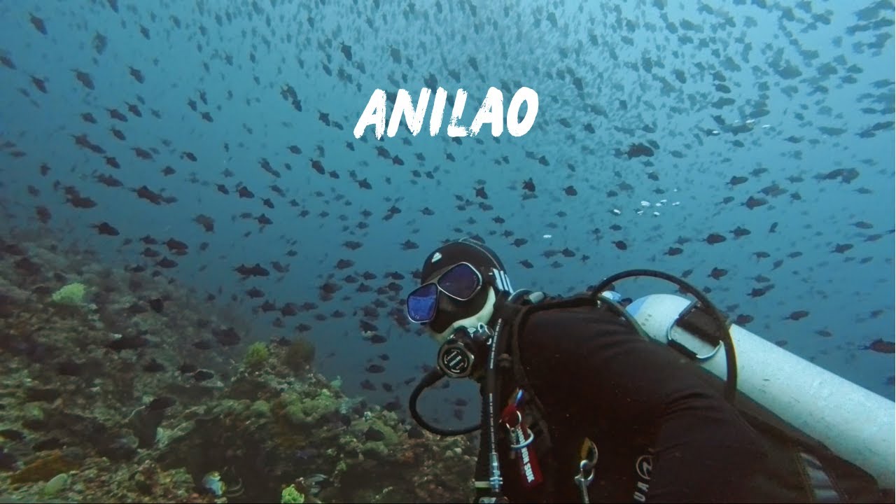 2025.10.02-05【아닐라오】