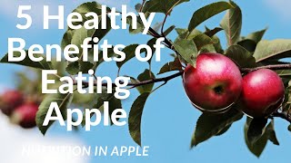 Top 5 Health Benefits of Apple | Why Are Apples Healthy For You? | Food Nutrition