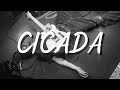 Good Kid Cicada Lyric Video