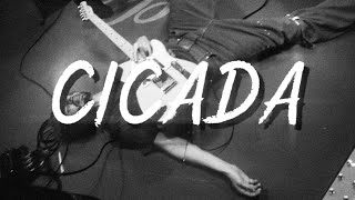 Good Kid - Cicada (Lyric Video)