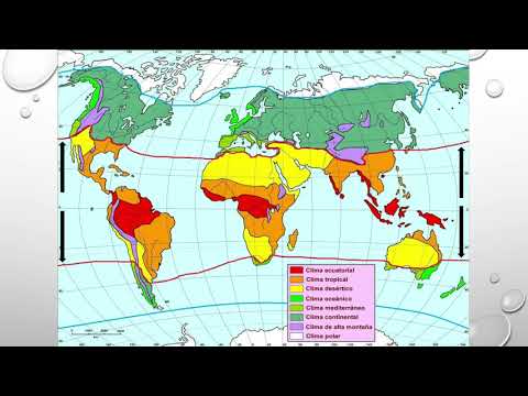Video: ¿Cuáles son las regiones climáticas del mundo?