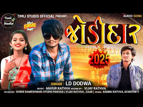 Jodidar || Ld Dodwa New Timli Song 2025 || Timli Studio