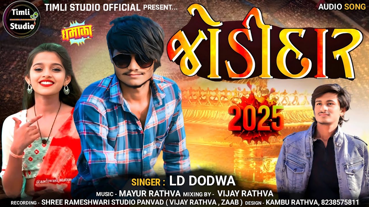 Jodidar || Ld Dodwa New Timli Song 2025 || Timli Studio