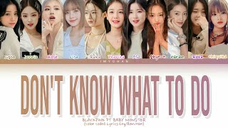BLACKPINK FT BABY MONSTER - DON'T KNOW WHAT TO DO LYRICS (Color Coded Lyrics Eng/Rom/Han)