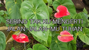 Sering Tak Ku Mengerti Jalan-Jalan Mu Tuhan || Lyric
