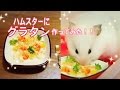 ハムスターにグラタン作ってみた♪Gratin (Baked Macaroni And Cheese) For Hamster!!