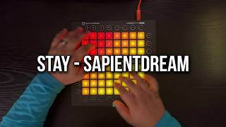 sapientdream - Stay // Launchpad Pro Cover