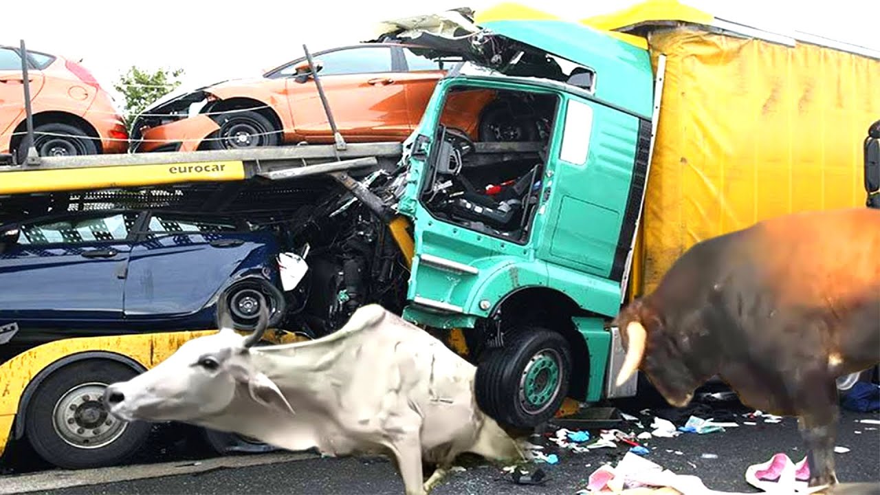 Stupid Rivers BEST STUPID DRIVERS COMPILATION | TOTAL IDIOTS IN TRUCKS & CARS FAILS ...