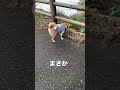 柴犬ヒメちゃんと、悲しみは雪のように