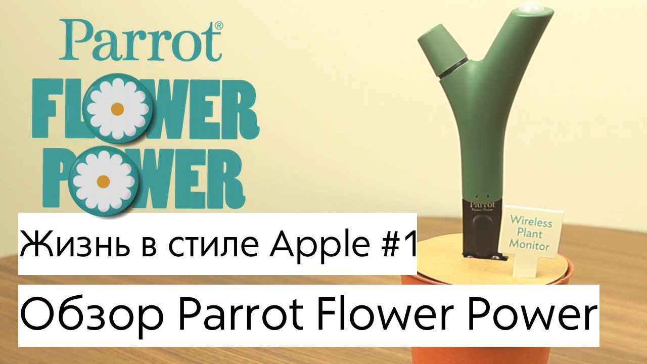Жизнь в стиле Apple: семь необычных гаджетов.. Parrot Flower Power.. Фото.