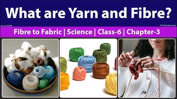 Fibre to Fabric | Yarn and Fibre | NCERT Science | Class 6 | Chapter 3