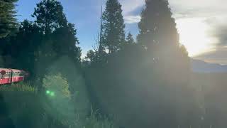 1120622阿里山日間返程小火車01