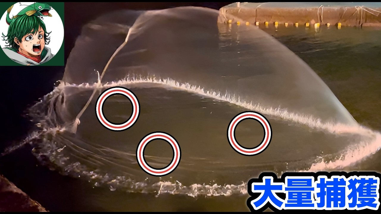 ホモサピさんと地元の人から穴場と言われた場所で巨大投網を投げると楽園すぎた？？