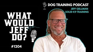 Why leash reactivity is never an isolated issue What Would Jeff Do? #1204 dog training q & a
