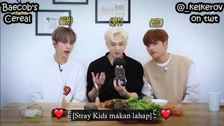Indo Sub SKZ in Dingo's Treat