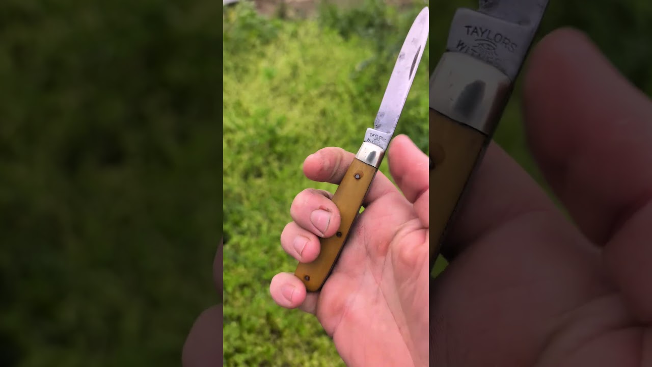 Vintage Taylor's Pocket Knives: Unmatched Quality!