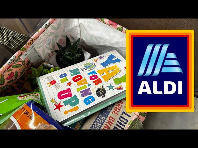 One Bag Limit!!  Weekly ALDI Grocery Haul May 2024 class=