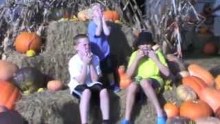 Maze Dayz Fall Festival, Maze, and Pumpkin Patch