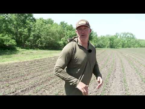 Have a Stand Plan with John Dudley