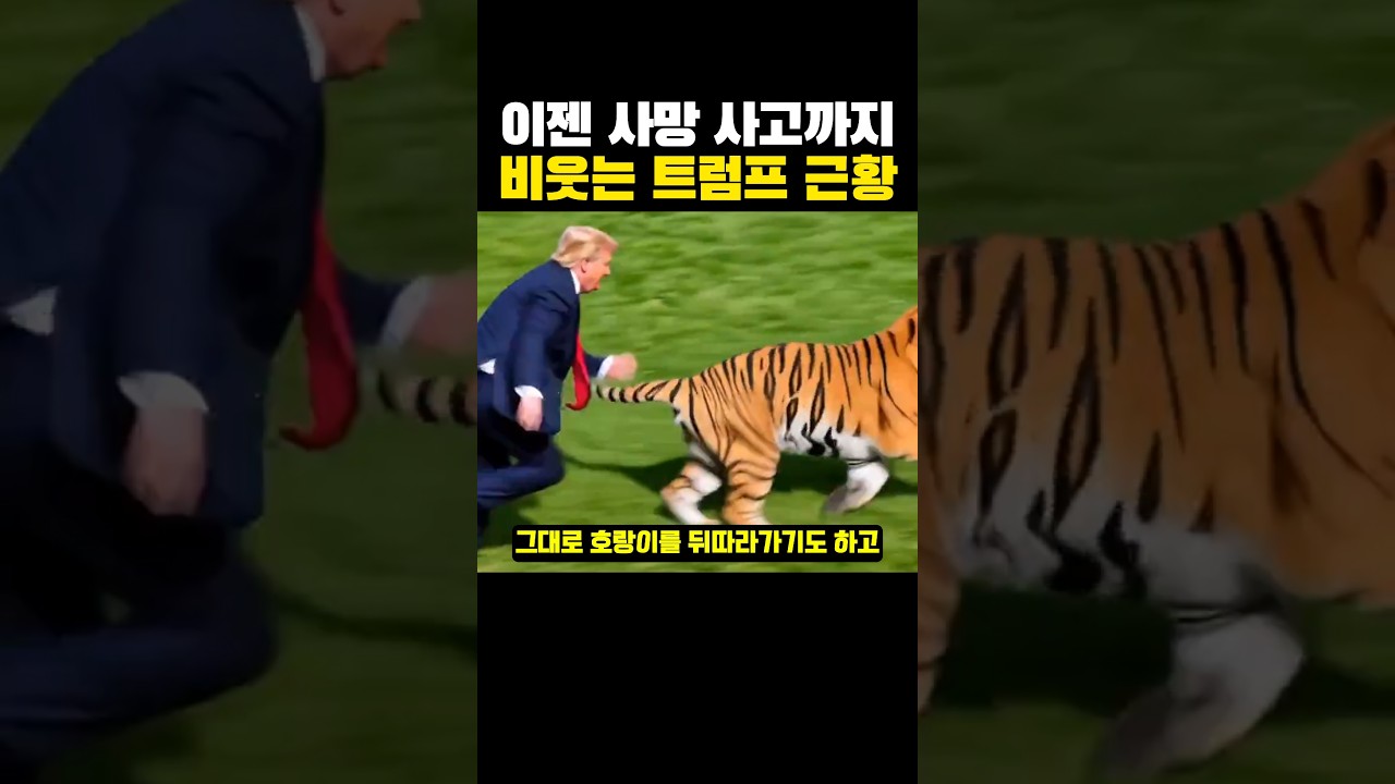이젠 사망 사고까지 '비웃는 '트럼프 근황?ㄷㄷ..
