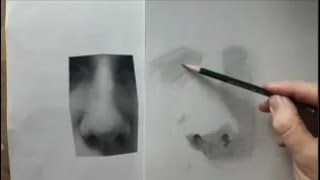 DOS & DON'TS   How To Draw a REALISTIC NOSE