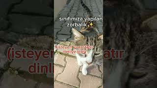 Sınıftaki Zorbalık