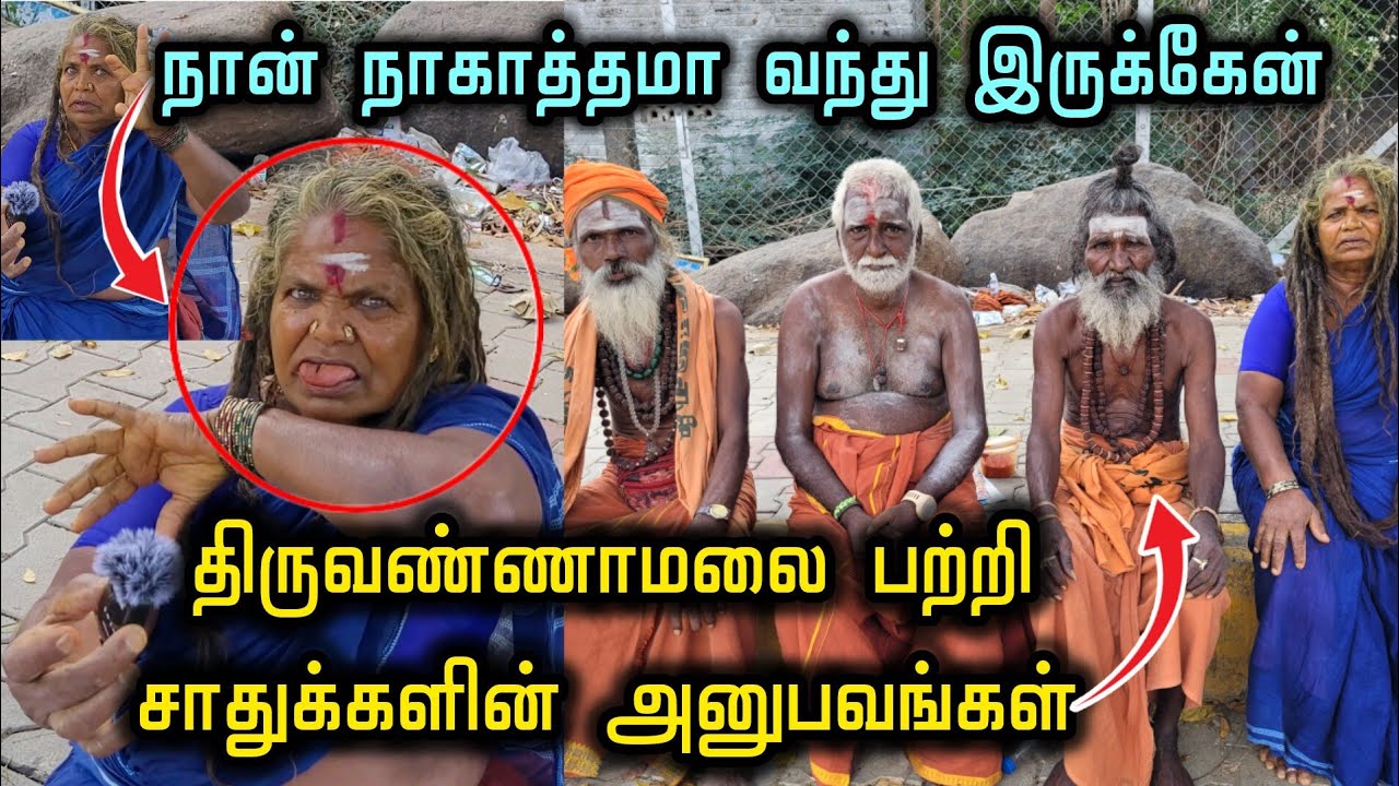😱நான் நாகாத்தமா வந்து இருக்கேன் டா,திருவண்ணாமலை பற்றி சாதுக்களின் அனுபவங்கள்🙇‍♂️😳🙏 #thiruvannamalai