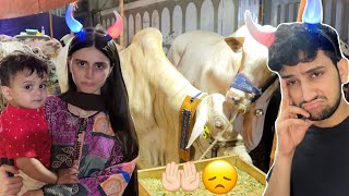 Akhri lamha apne janwaron ke sath😞🤲🏻 | Basil ko boht yaad aigi sabki🥺🥰