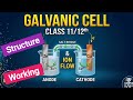 #Electrochemical Cell. #Galvanic Cell / Voltaic cell 11th.12th.NEET.JEE.