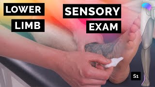 Sensory Assessment Of The Lower Limbs - Osce Clip | Ukmla | Cpsa