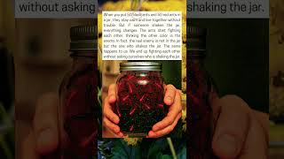 Download Lagu 50 semut hitam MP3