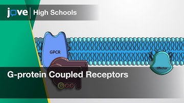 G-protein Coupled Receptors | Bio | Video Textbooks - Preview