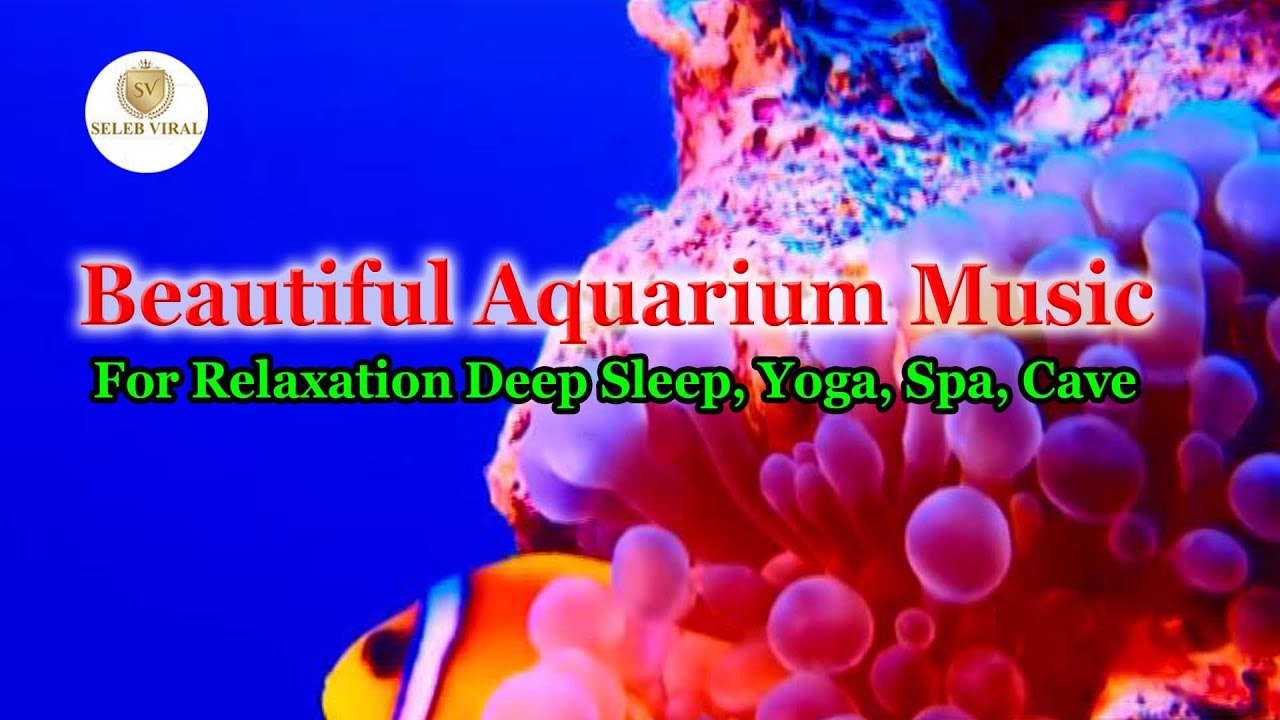 Relaxing Aquarium Music For deep sleeping, spa, yoga