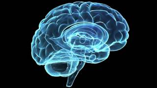 EEG music
