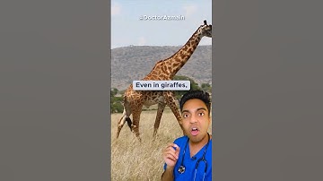 🤔 Our Bodies are Built WEIRD - Doctor Explains the Recurrent Laryngeal Nerve!