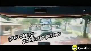 kumpulan COCOFUN story WA dan IG bus terbaru