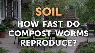 How Fast Do Compost Worms Reproduce?